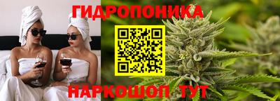 эйфоретик Шахты
